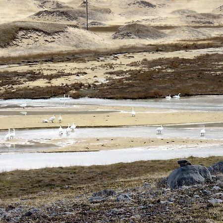 Апартаменты Stekkar 23 Patreksfjordur Экстерьер фото