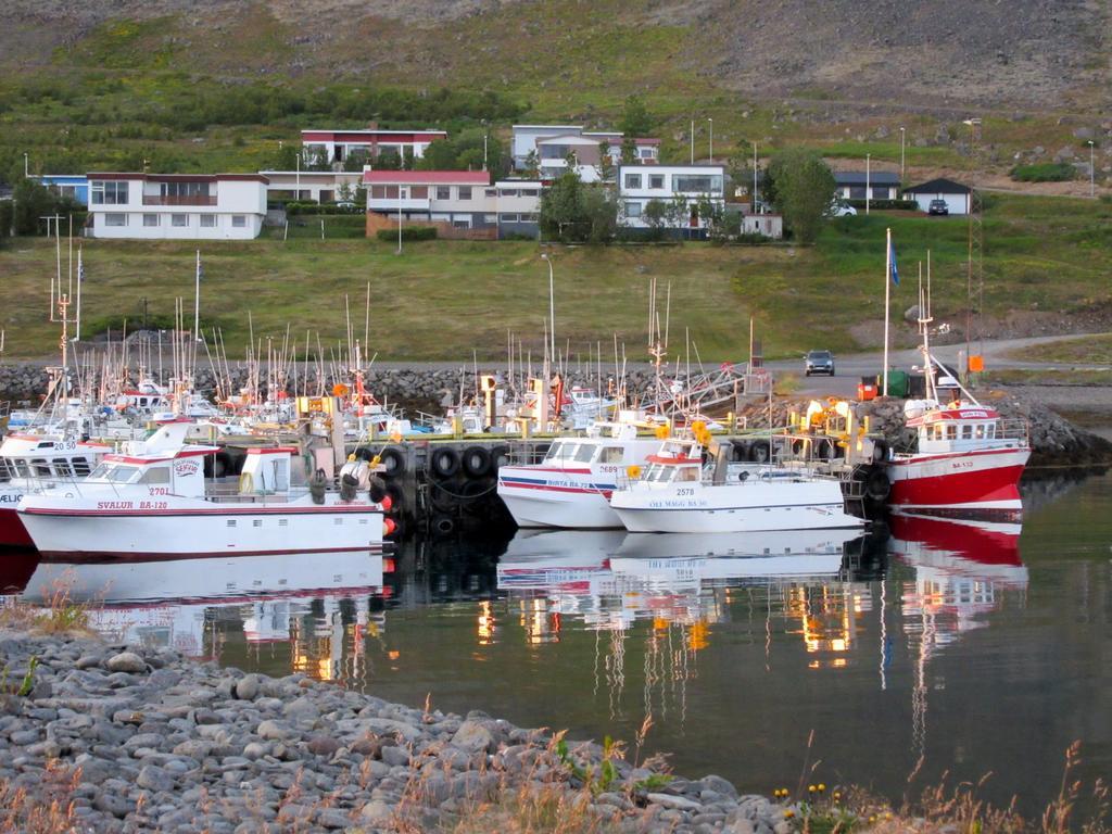 Апартаменты Stekkar 23 Patreksfjordur Экстерьер фото