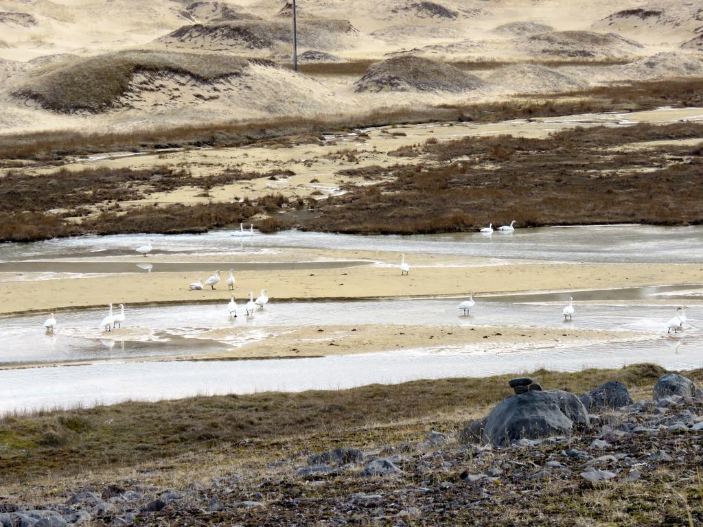 Апартаменты Stekkar 23 Patreksfjordur Экстерьер фото